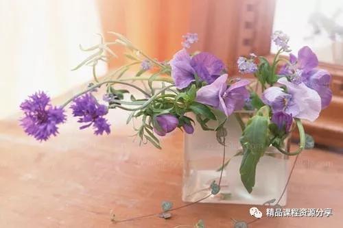 来吧插花在线视频,跟随在线视频，轻松掌握花艺美学