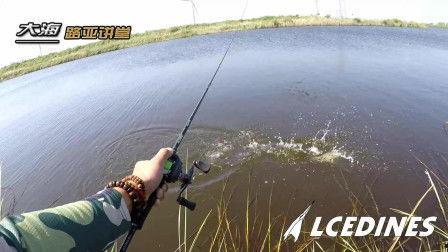 路亚路在线视频,揭秘钓鱼高手们的技巧与心得