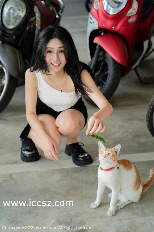 99久国内在线视频,畅享海量影视资源，尽在指尖